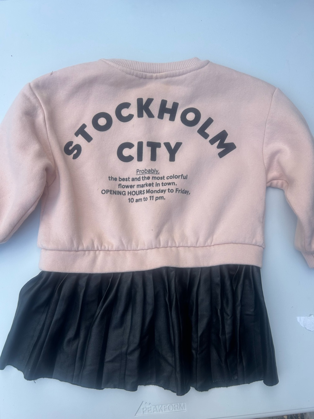 Zara Pink 'Stockholm City' Sweatshirt Skirt Combo